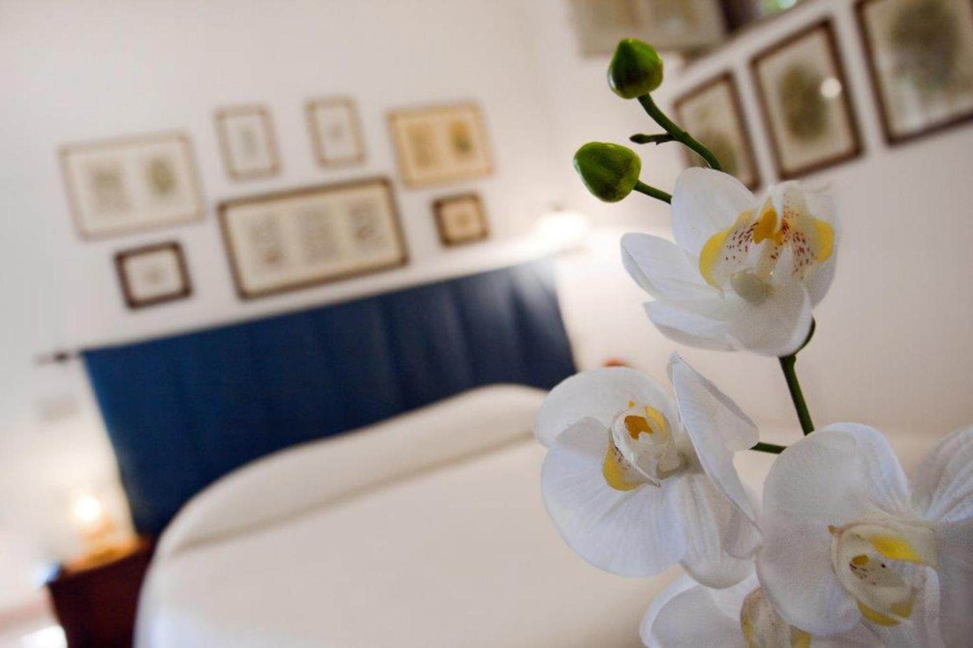 Il Glicine Sul Golfo Bed and Breakfast Mondello Δωμάτιο φωτογραφία